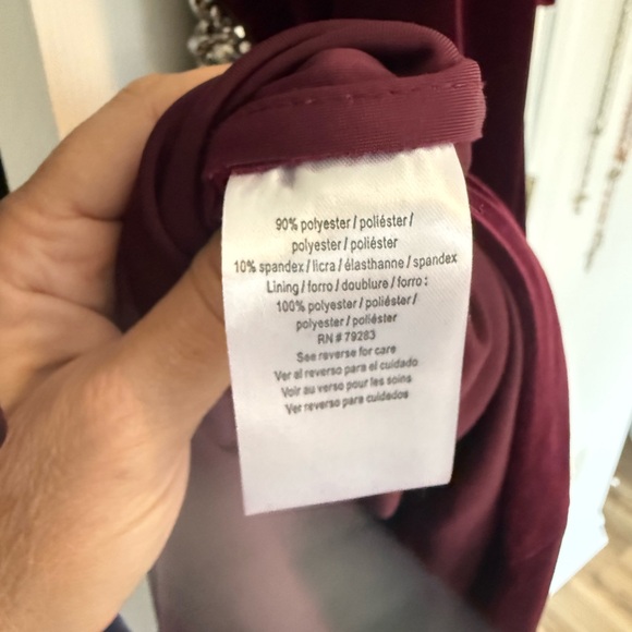 Elegant Burgundy Velvet Dress - Picture 4 of 6